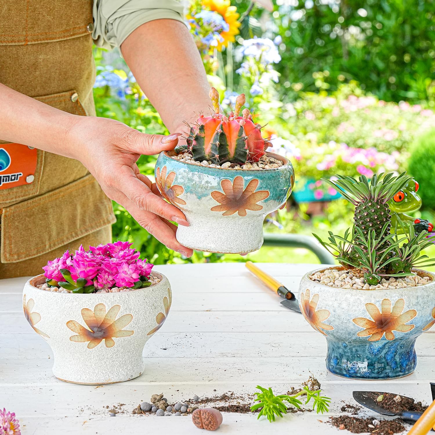 Gardening & Lawn Care