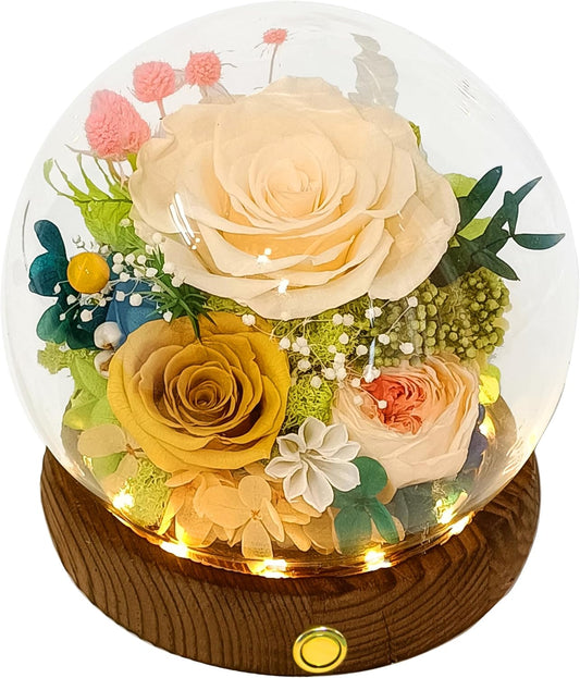 Valley of Rain & Forest Long-Lasting Real Flowers, Unique Floral Gift for You to Send Love for All Occasions, for Indoor Decoration (Champagne & Yellow Roses Arrangement)