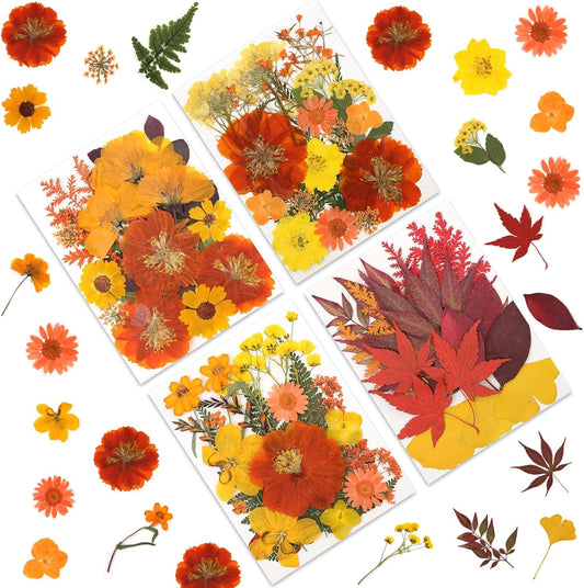 80P Autumn Tone Dried Flowers for Crafts - Real Natural Pressed Flowers in Warm Fall Hues for Resin, DIY Art, Jewelry, Thanksgiving Decor & Pumpkin Decoration – Tweezers Included